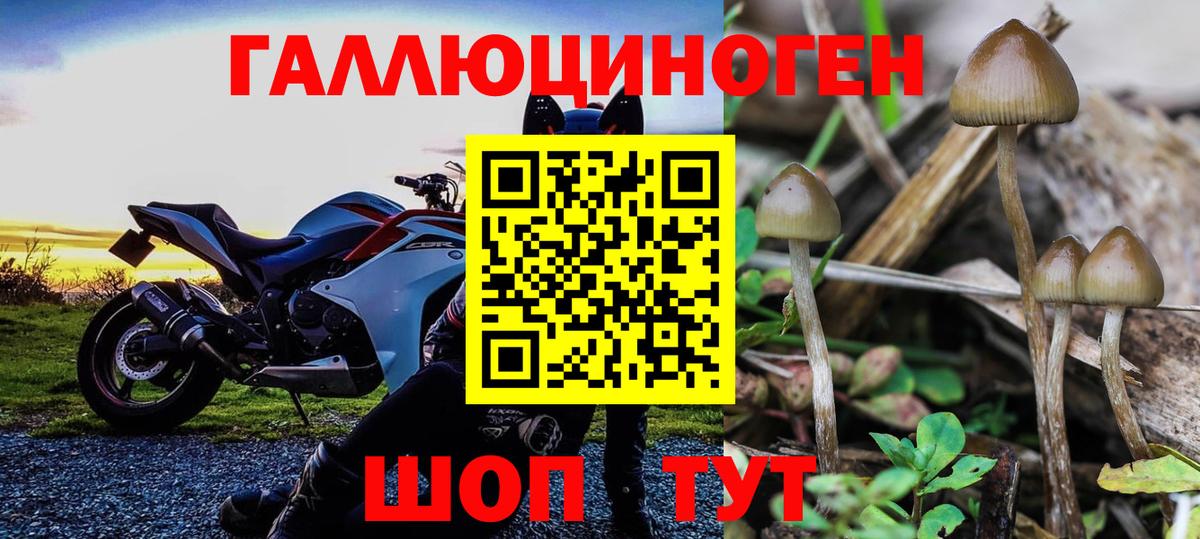Псилоцибиновые грибы прущие грибы  Галлюциногенные грибы GOLDEN TEACHER  Вход с VPN  Находка 