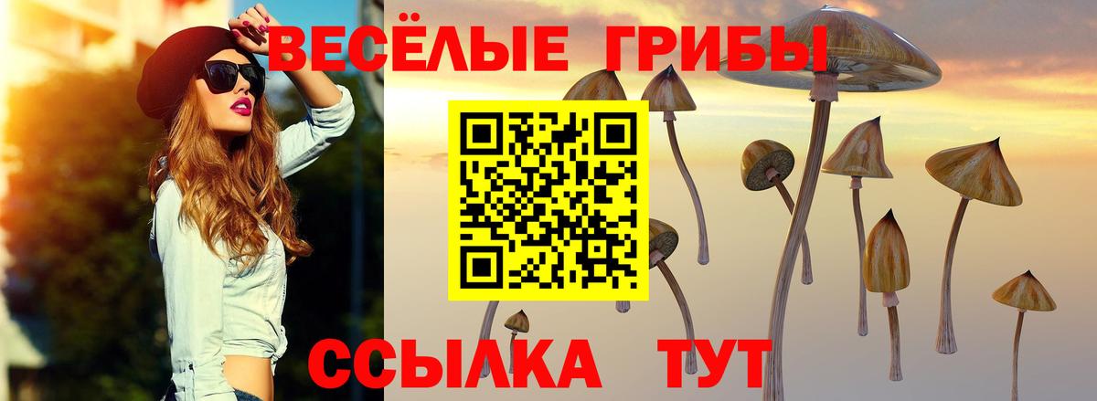 Псилоцибиновые грибы ЛСД Находка